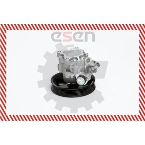 Compre Bomba de direção da ESEN SKV 10SKV022 a um preço baixo por 123,39 €