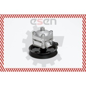 Compre Bomba de direção da ESEN SKV 10SKV028 a um preço baixo por 221,43 €