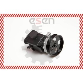 Compre Bomba de direção da ESEN SKV 10SKV029 a um preço baixo por 215,21 €