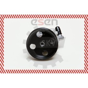Compre Bomba de direção da ESEN SKV 10SKV039 a um preço baixo por 148,73 €