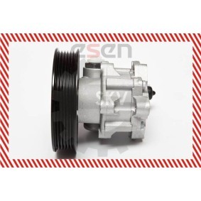 Compre Bomba de direção da ESEN SKV 10SKV063 a um preço baixo por 141,29 €