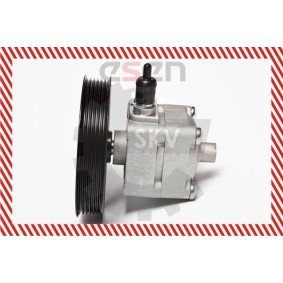 Compre Bomba de direção da ESEN SKV 10SKV092 a um preço baixo por 198,35 €