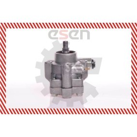 Compre Bomba de direção da ESEN SKV 10SKV132 a um preço baixo por 151,10 €