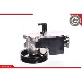 Compre Bomba de direção da ESEN SKV 10SKV139 a um preço baixo por 170,71 €