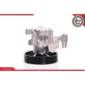 Compre Bomba de direção da ESEN SKV 10SKV140 a um preço baixo por 139,11 €