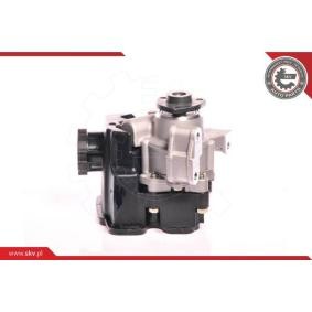Compre Bomba de direção da ESEN SKV 10SKV162 a um preço baixo por 158,50 €
