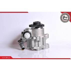 Compre Bomba de direção da ESEN SKV 10SKV167 a um preço baixo por 134,75 €