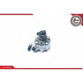 Compre Bomba de direção da ESEN SKV 10SKV186 a um preço baixo por 289,46 €