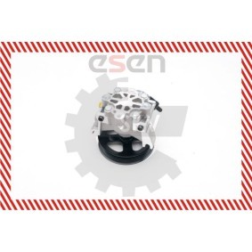 Compre Bomba de direção da ESEN SKV 10SKV188 a um preço baixo por 147,63 €