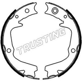 Compre Jogo de maxilas de travão, travão de estacionamento da TRUSTING 110.337 a um preço baixo por 24,93 €