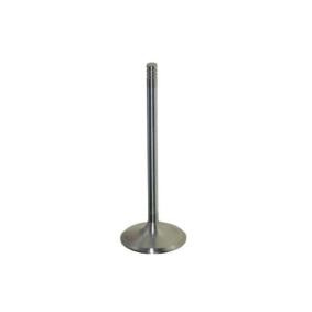Acquista Valvola di aspirazione da AUTOMEGA 130107210 a buon mercato per soli 6,54 €