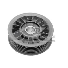Achetez des Galet tendeur de courroie d'accessoire 3RG 13742 à prix pour 17,39 €