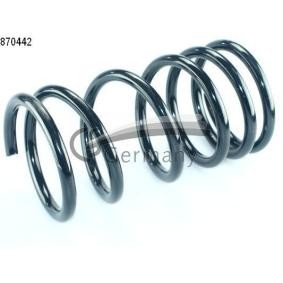Köp Spiralfjäder av CS Germany 14.870.442 till det låga priset 484,89 kr