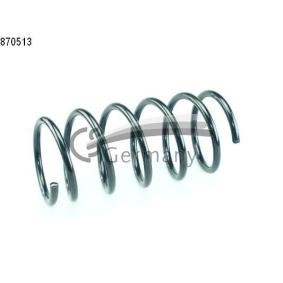 Köp Spiralfjäder av CS Germany 14.870.513 till det låga priset 354,16 kr