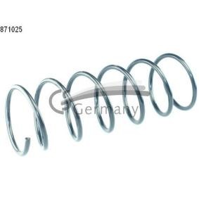 Compre Muelles de CS Germany online para 205 XA/XAD Furgoneta a precios moderados