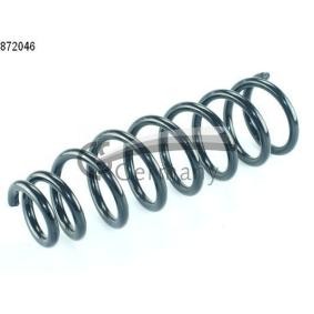 Köp Spiralfjäder av CS Germany 14.872.046 till det låga priset 650,19 kr