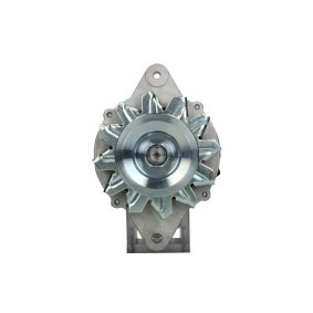 Acquista Alternatore da BV PSH online per Serie E III Camion pianale / Telaio (SD1) a prezzi moderati