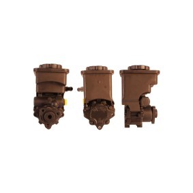 Servopumpe 15-0955 von ELSTOCK günstig für 206,31 € online kaufen