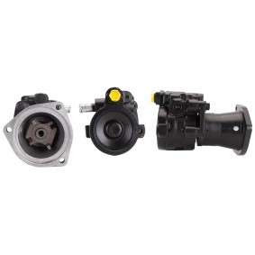 Compre Bomba de direção da ELSTOCK 15-0979 a um preço baixo por 172,11 €