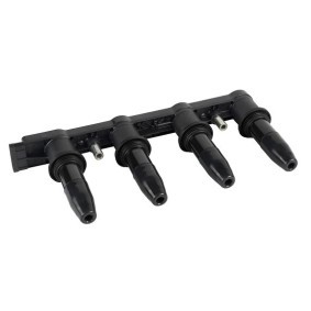 Zündspule 155205 von EFI AUTOMOTIVE günstig für 363,92 € online kaufen
