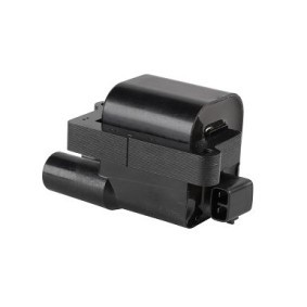 Achetez des Bobine d'allumage EFI AUTOMOTIVE 155387 à prix pour 125,52 €