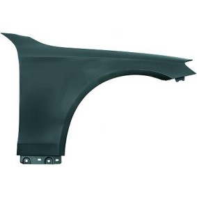 Acquista Parafango da DIEDERICHS online per Classe S Sedan (W222, V222, X222) a prezzi moderati