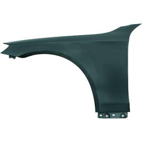 Acquista Parafango da DIEDERICHS online per Classe S Sedan (W222, V222, X222) a prezzi moderati