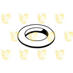 Comprar Anillo de soporte, silenciador de UNIGOM 166012 a bajo precio de 11,22 €