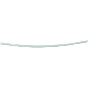 Compre Friso de para-choques de DIEDERICHS online para Classe B (W246, W242) a preços moderados