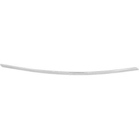 Compre Friso de para-choques de DIEDERICHS online para Classe B (W246, W242) a preços moderados