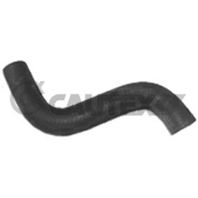 Compre Tubo flexível do radiador da CAUTEX 186031 a um preço baixo por 16,48 €
