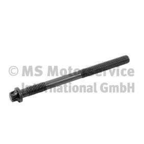 Comprar Tornillo de culata de BF 20080228768 a bajo precio de 9,70 €