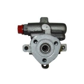 Compre Bomba de direção da SPIDAN 53555 a um preço baixo por 79,81 €