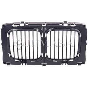 Rahmen, Kühlergitter 21000529 von JUMASA günstig für 38,10 € online kaufen