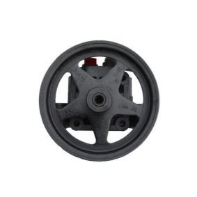 Compre Bomba de direção da SPIDAN 54167 a um preço baixo por 330,57 €