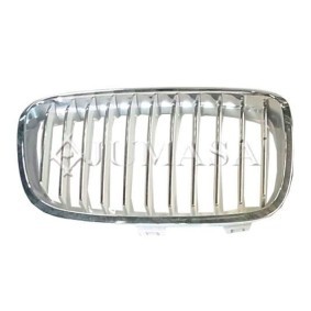Kühlergrill 21120566 von JUMASA günstig für 57,35 € online kaufen