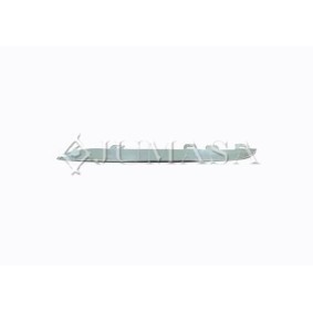 Zier- / Schutzleiste, Kühlergitter 21322068 von JUMASA günstig für 39,71 € online kaufen