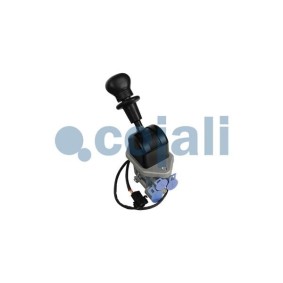 Kotflügelverbreiterung des Herstellers COJALI - Originalware Artikelnummer: 2224537