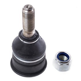 Compre Rótula de suspensão de MASTER-SPORT online para MICRA I (K10) a preços moderados
