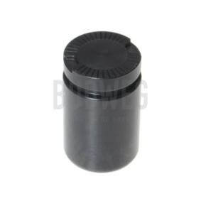 Achetez des Piston, étrier de frein BUDWEG CALIPER 233434 à prix pour 9,65 €