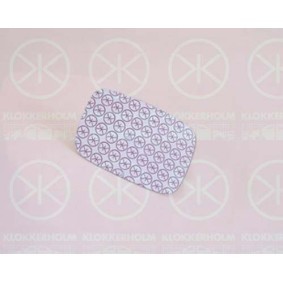 Compre Painel lateral da KLOKKERHOLM 2527601 a um preço baixo por 25,75 €
