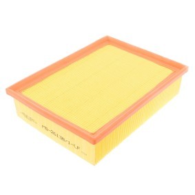 Acquista Filtro aria da MASTER-SPORT online per Escort V Station Wagon (GAL) a prezzi moderati