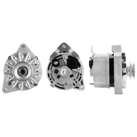 Acquista Alternatore da ELSTOCK 28-2513 a buon mercato per soli 167,39 €