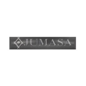 Zier- / Schutzleiste, Kotflügel 29010533 von JUMASA günstig für 49,51 € online kaufen
