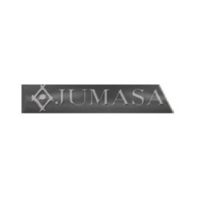 Zier- / Schutzleiste, Kotflügel 29010534 von JUMASA günstig für 54,25 € online kaufen