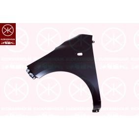 Compre Guardabarros de KLOKKERHOLM online para i10 (PA) a precios moderados