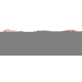 Compre Pinça de travão da DRI 3262700 a um preço baixo por 76,34 €