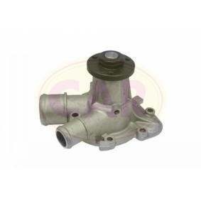 Comprar Bomba de agua de CAR 330012 a bajo precio de 38,32 €