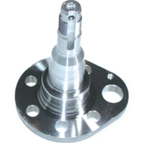 Compre Cubo da roda da BIRTH 3378 a um preço baixo por 42,21 €