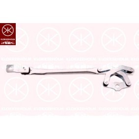Comprar Luz de situación de KLOKKERHOLM 34370452 a bajo precio de 15,63 €